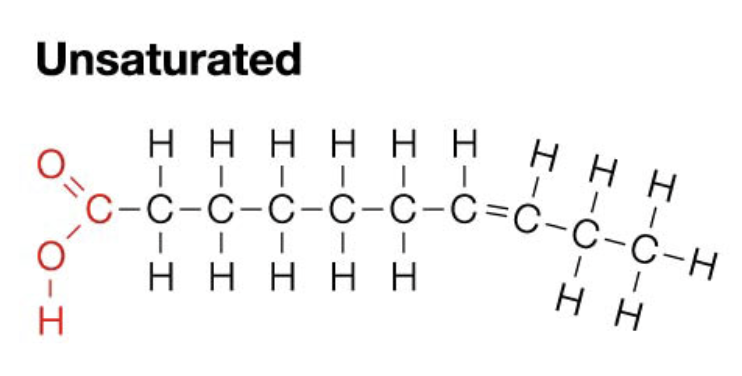 <ol><li><p>Double Bonds</p></li><li><p>Bent tail</p></li><li><p>Liquid at room temperature</p></li><li><p>Come from plants</p></li></ol><p>Ex. Olive Oil</p>