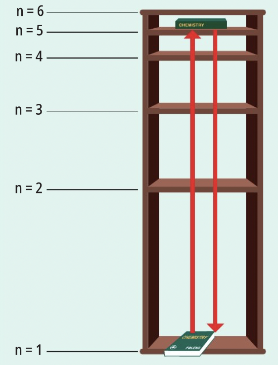 The book can only occupy certain shelves. Each shelf is a fixed distance from the ground and hence the book has a certain amount of potential energy on each shelf.