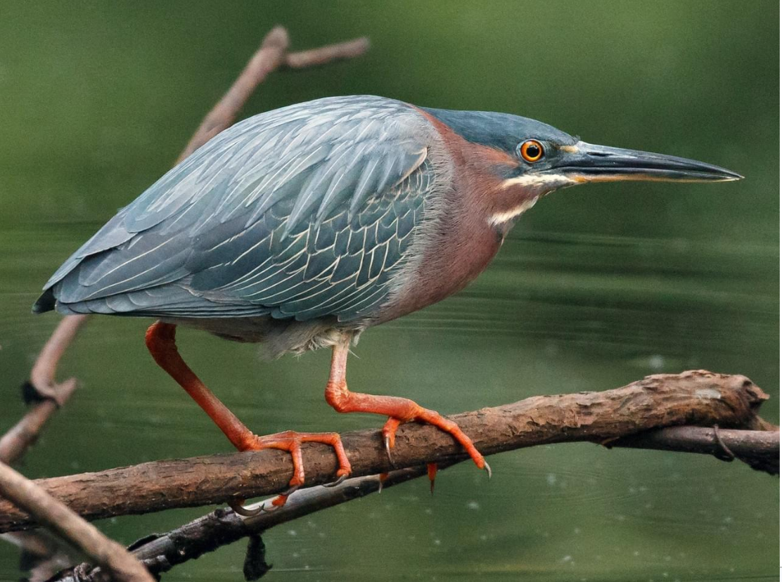 <p></p>