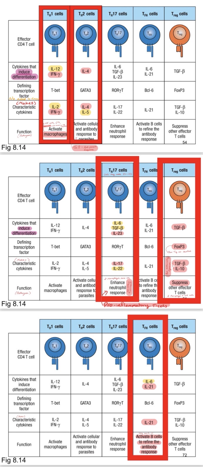 <p><strong><u>Obj. 7</u></strong></p><p>Describe the principal pathogen(s) each Th cell targets.</p>