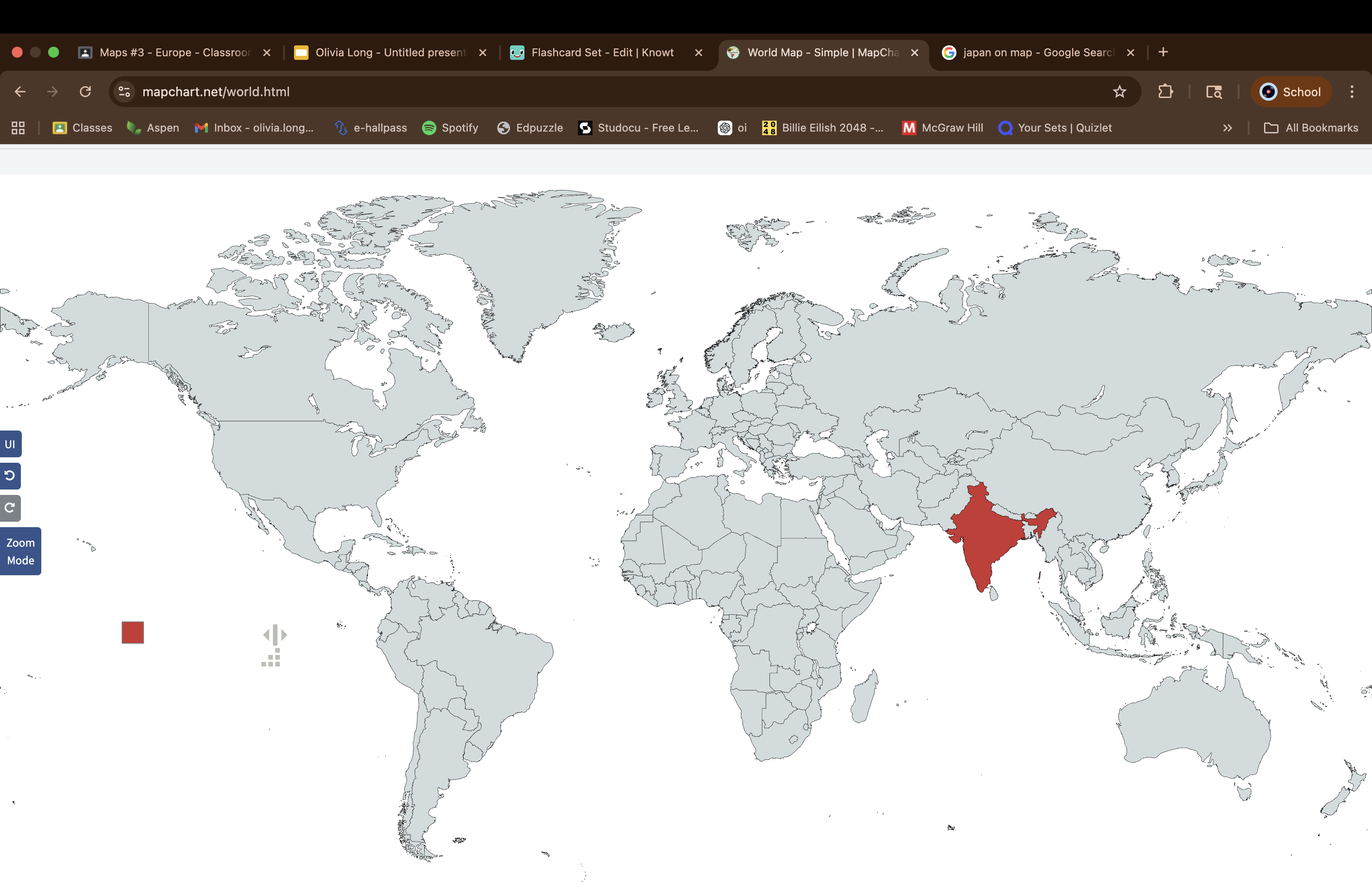 term image