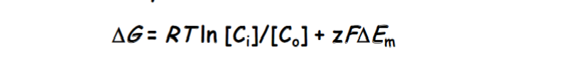 <ul><li><p>tendency of a charged solute (electrolyte) to diffuse between two compartments depends on two gradient</p></li><li><p>the chemical gradient: determined by concentration difference</p></li><li><p>electric potential gradient: determined by difference in charge</p></li><li><p>these gradient differences are combined to form an electrochemical gradient</p></li><li><p>formula: delta G= RT ln [Ci]/[Co] + zF(delta)E<sub>m</sub></p></li></ul><p></p>