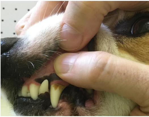 <p>Less than 2 seconds </p>