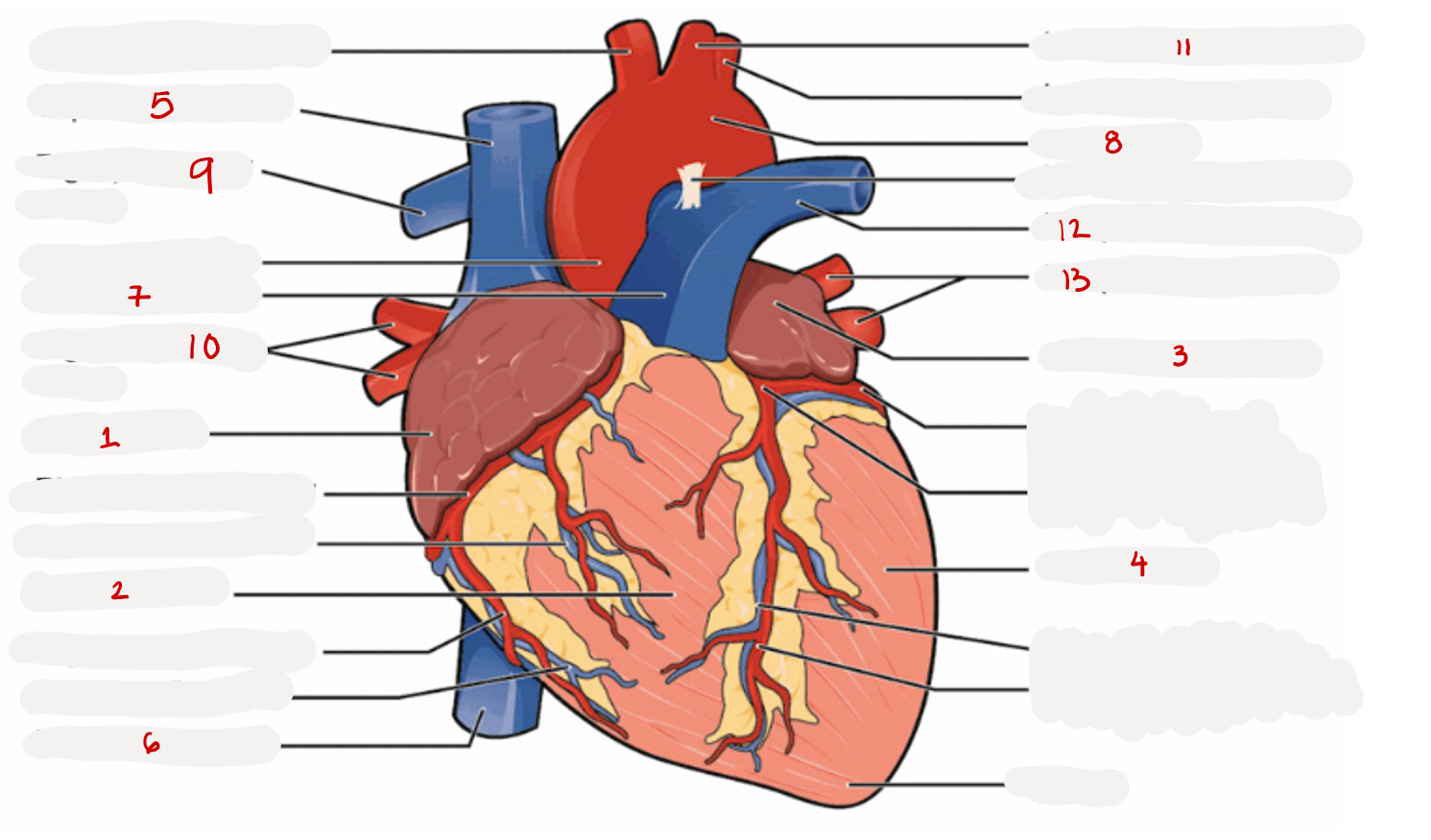 <p>12? </p>