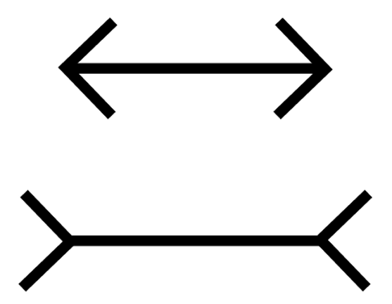 <p>a visual trick where two identical objects or lines placed between converging background lines look like they are different lengths</p>