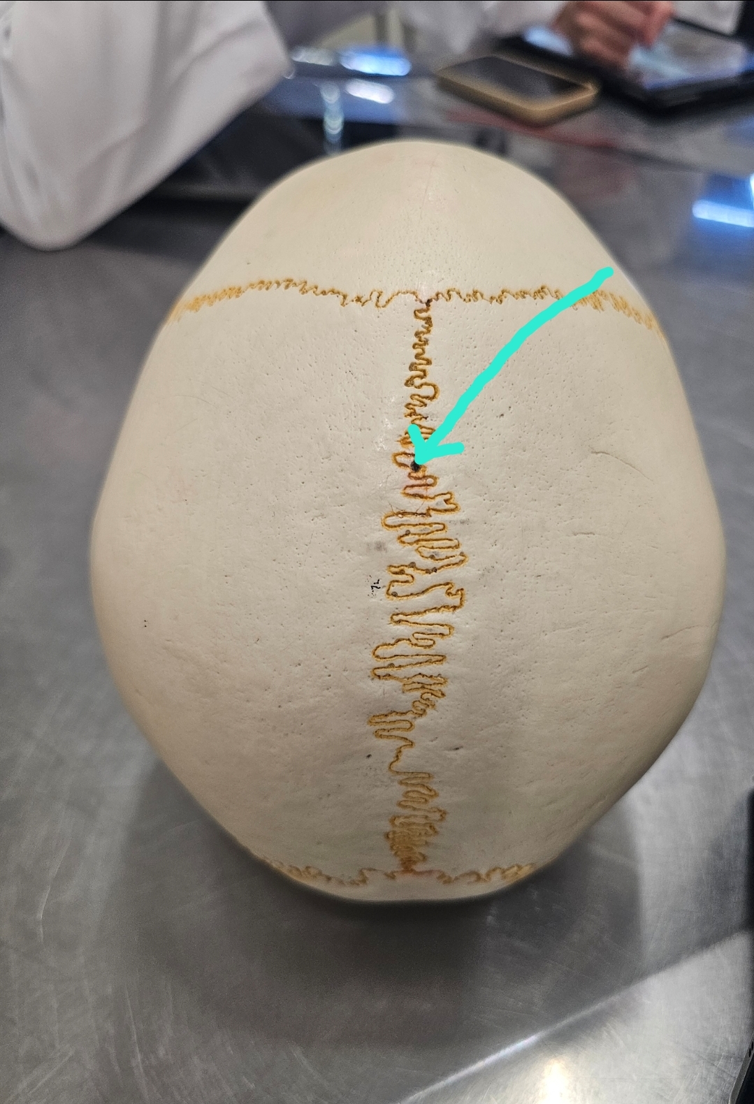 <p>Qual é o nome?</p>