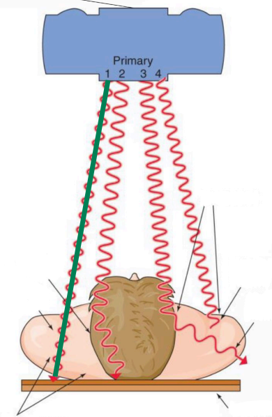 <p>1</p>