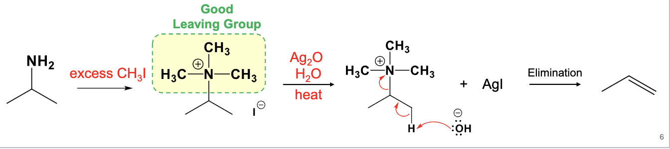 <p>Hoffman elimination</p><ul><li><p>Elimination of beta H and NH<sub>2</sub> (or NHR’, NR’R’’) to make an alkene</p></li><li><p>A less substituted product is the major product</p></li></ul><img src="https://assets.knowt.com/user-attachments/f0bf8717-2b9e-4f2e-9b67-cc32ad31a705.png" data-width="50%" data-align="center"><p></p>