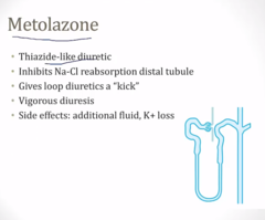 <p>metolazone</p><p>2.5 - 20mg/day</p><p>not for <30</p>