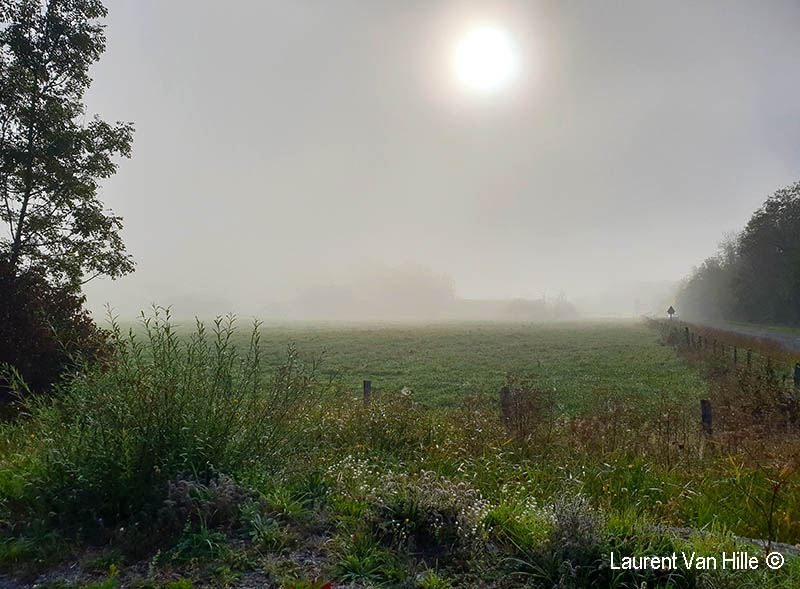 <p>Brume<br><em><sub>Moins dense</sub></em></p>