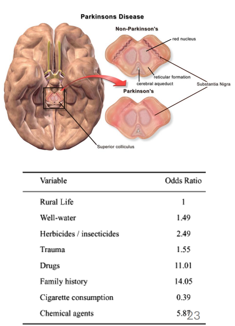 <ul><li><p>Progressive disorder affecting movement*</p></li><li><p>Associated with loss of SN neurons (~60% post-mortem)*</p></li><li><p>Age is a major factor; genetics might contribute also (α-synuclein) as might certain environmental factors</p></li></ul><div data-type="horizontalRule"><hr></div><ul><li><p></p></li></ul><p></p>