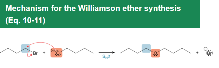 <p>Alkoxides perform SN2 substitution on primary alkyl halides in polar aprotic solvents to form ethers without changing the carbon skeleton.</p>