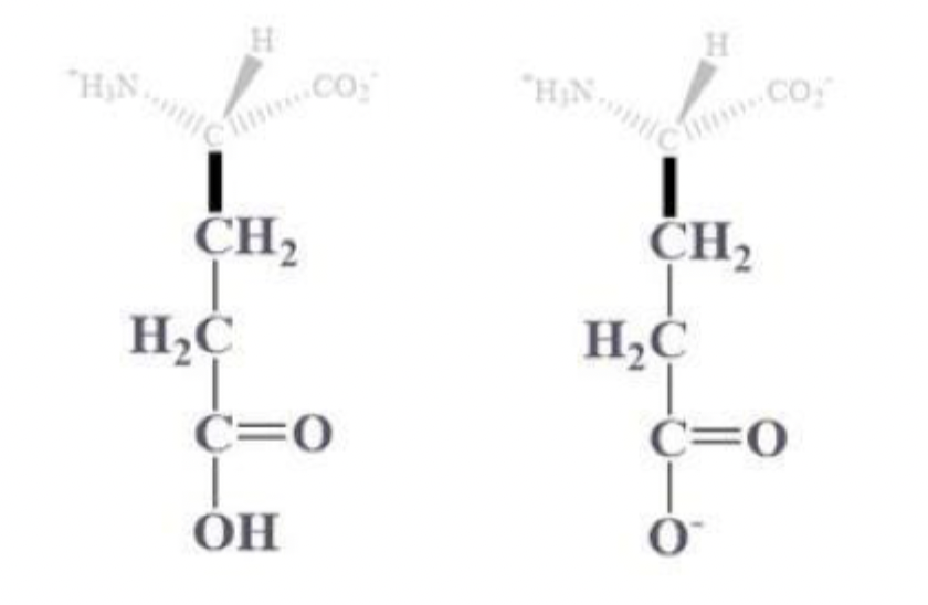 <ul><li><p>glu, E</p></li></ul><p></p><ul><li><p>CH2 - CH2 - C which is bound to (=O) and OH (or O-) side chain</p></li></ul><p></p><ul><li><p>(-) charged amino acids at pH 7</p></li><li><p>hydrophilic and found on protein surface </p></li></ul><p></p>