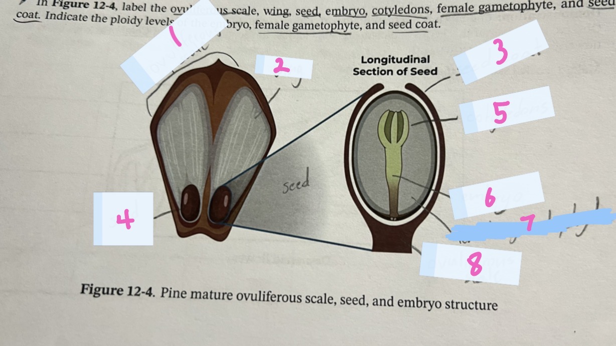 <p>What is 3 called</p>