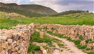 <p>Road </p>