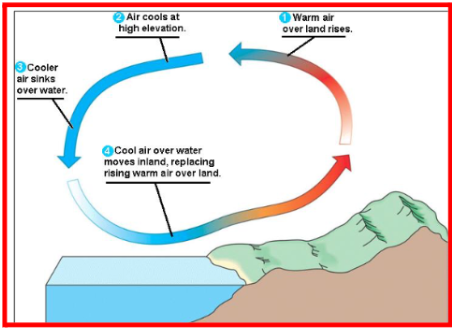 <p>How do oceans influence nearby land climates through air movement?</p>