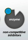 <p>Non- competitive inhibition</p>