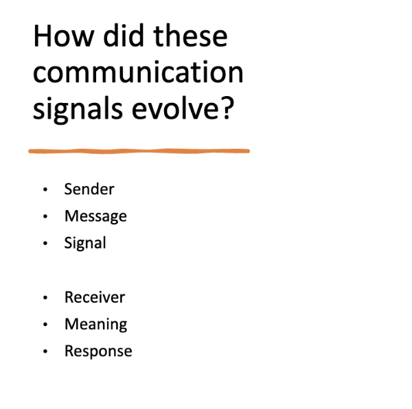 <p>info card flip for more</p>