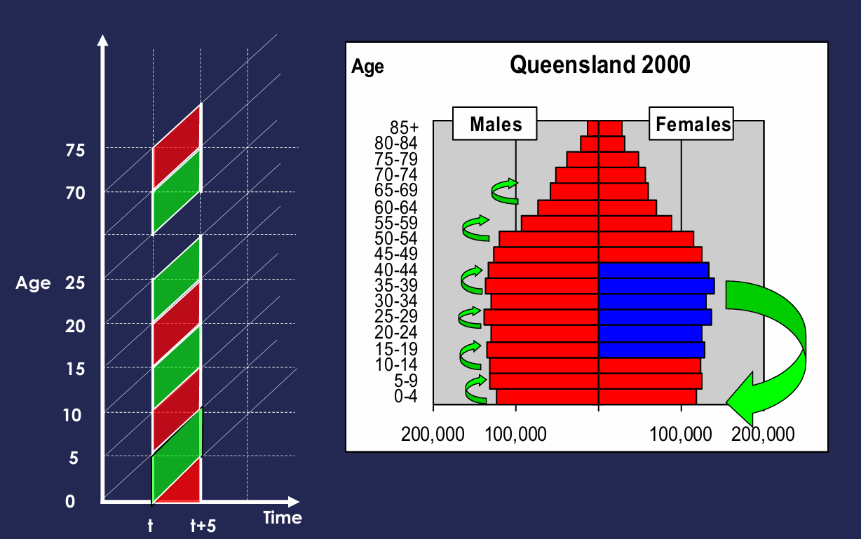 <p>Cohort-component method (population projections)</p>