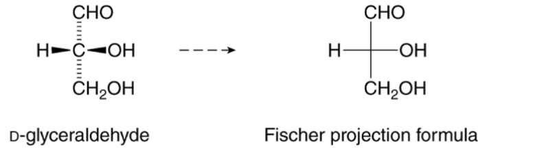 <ul><li><p>Prefix D is used when the -OH group is drawn on the <strong>right</strong> side of the carbon chain </p></li><li><p>The prefix L is used when the OH group is drawn on the <strong>left</strong> side of the carbon chain</p></li><li><p>the wedged and dashed line can be re-drawn in a Fischer projection formula</p></li></ul><p></p>