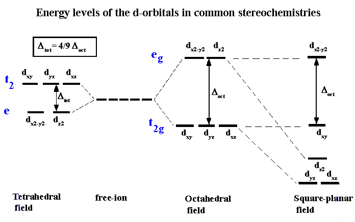<p>-The splitting of d orbitals energies is less in a tetrahedral than an octahedral complex, and the relative d-orbital energies are reversed</p><p>-only high-spin tetrahedral complexes are known bc 𝝙 is small</p><p>-square planar complexes are low spin and usually diamagnetic because the four pairs of d electrons fill the four lowest-energy orbitals</p>