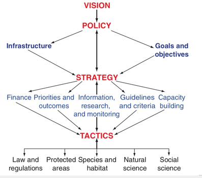 <p>vision</p>