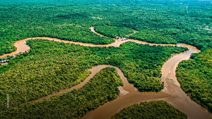<p>The Amazon River</p>