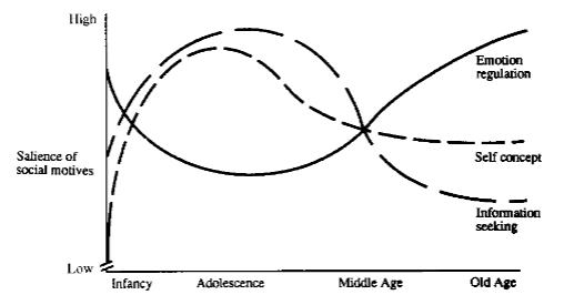 <p>Predicts older adults have fewer relationships — based on different motives (i.e. emotion regulation)</p><ul><li><p>older —→ emotional regulation</p></li><li><p>young —→ many reasons</p></li></ul><p></p>