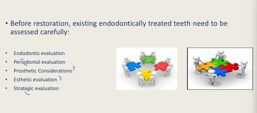<ul><li><p>Endo,perio,resto,strat - from endo lectures </p></li><li><p><strong>Endodontic</strong> evaluation</p></li><li><p><strong>Periodontal </strong>evaluation</p></li><li><p><strong>Strategic </strong>evaluation</p></li><li><p><strong>Prosthetic</strong> consideration</p></li><li><p><strong>Esthetic</strong> evaluation </p></li></ul><p></p>