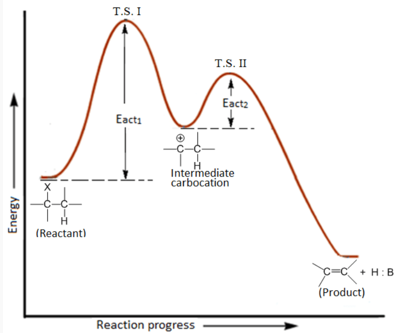 <p>What reaction mechanism does the reaction coordinate diagram represent?</p>