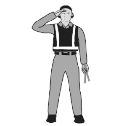 <p>¿Qué significa esta señal?</p>