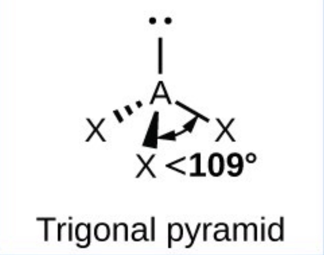 <p>Trigonal pyramid - 107.5</p>