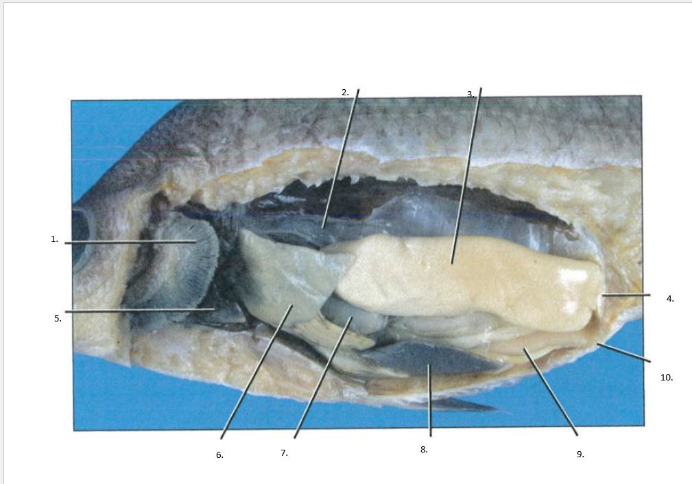 <p>TAKE BETTER PICTURES NEXT TIME</p>