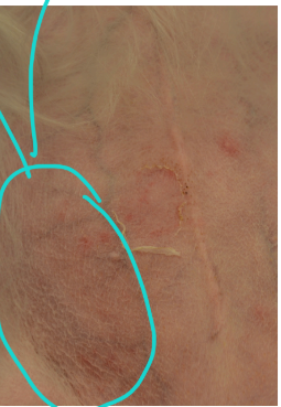 <p>what is this?</p>