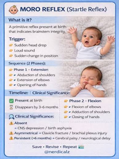 <p>moro reflex</p>
