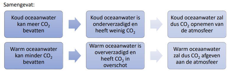 <p>zeestromingen zorgen voor temperatuurverschillen en verplaatsing O<sub>2</sub></p><p><strong>1: verdamping </strong>= water verdampt door hitte. Zout niet → achterblijvend water steeds zouter</p><p><strong>2: afkoeling en warmtetransport = hoe dichter bij noorden, hoe kouder. warmte die vrijkomt → richting Europa geblazen (reden rel. klimaat)</strong></p><p><strong>3: aangekomen</strong> = water in poolgebied afgekoeld. koud = goed gassen opnemen = veel CO<sub>2</sub> uit lucht gezogen</p><p>genoeg gedaald → zeeijs ! zout bevriest niet ! → zeer zout water</p><p>zout en koud water → hoge dichtheid → zinkt met opgenomen CO<sub>2</sub> mee</p>