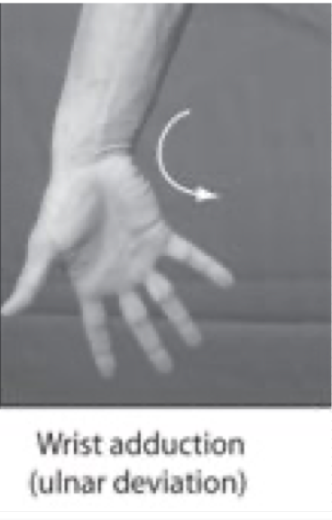 <p>Movement of the hand toward the midline</p>