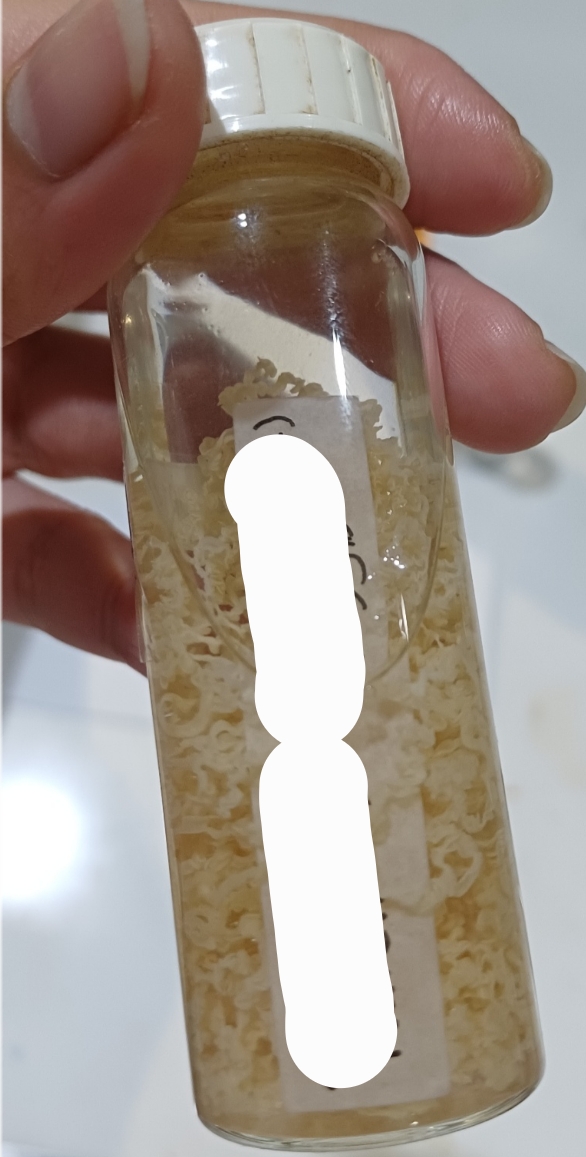 <p>Identification:</p><p>Common name:</p><p>Organ loc:</p><p>Intermediate Host:</p><p>Definitive Host:</p><p>Family:</p>