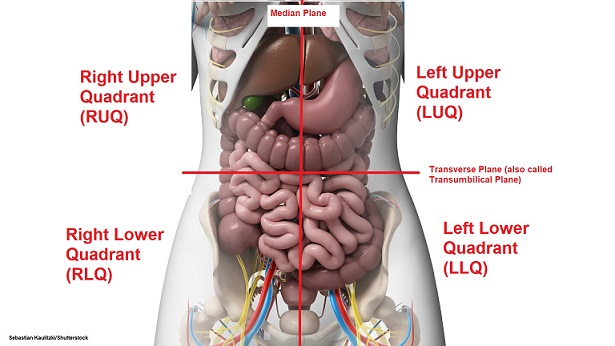 <ol start="2"><li><p><span style="background-color: transparent;"> left upper</span></p></li></ol><p></p>