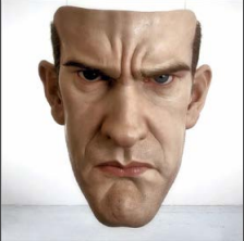 term image