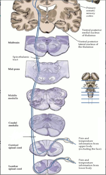 <p>What is this a picture of</p>