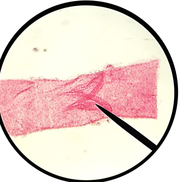 <p>What is this?</p>