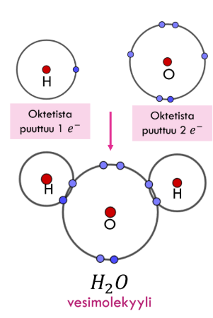 <p>Kovalenttisessa sidoksessa <span>epämetallia</span> atomit jakavat yhden tai useamman ulkoelektronin.</p><p>→ Näin muodostuneita yhdisteitä sanotaan molekyyleiksi</p><p>Kaksois- ja kolmoissidokset ovat vahvempia kuin yksinkertainen sidos</p>