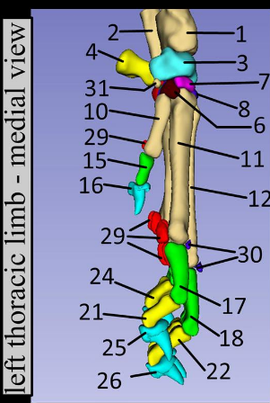 <p>What is 16?</p>