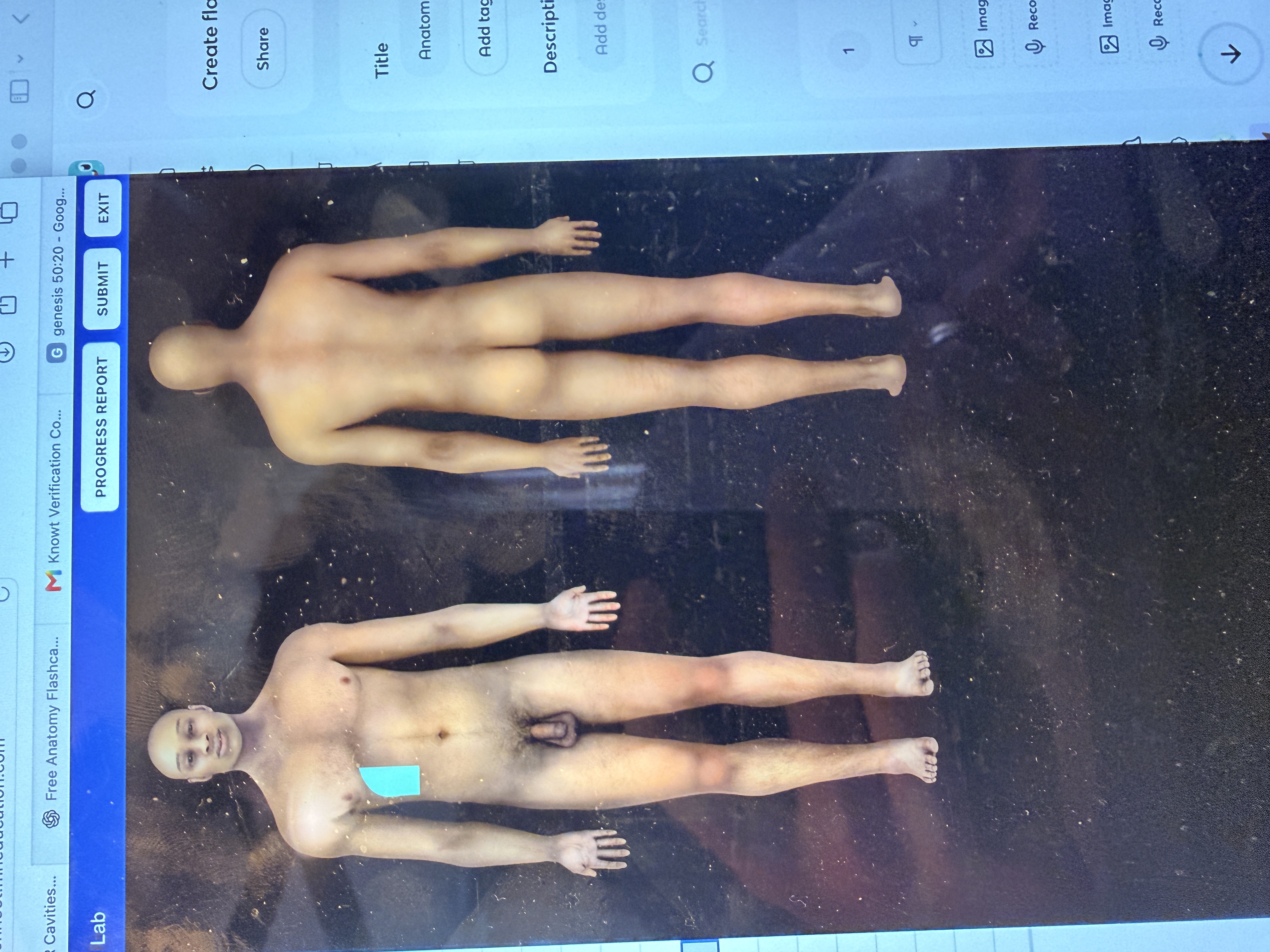knowt flashcard image