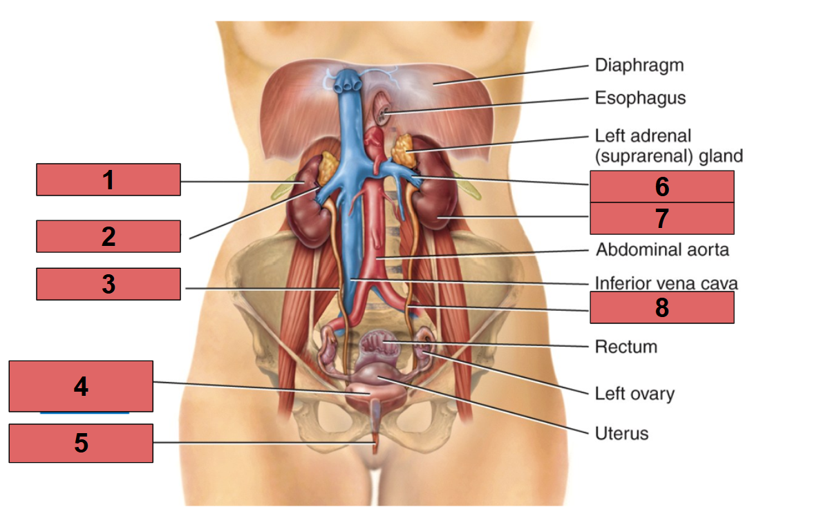 <p>Label this picture</p>