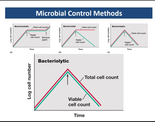 <p>(vegetative cells)</p><ul><li><p>cells that are actively growing / dividing, and doing metabolism</p></li></ul><p>(endospores)</p><ul><li><p>cells that are not actively growing / dividing, nor doing metabolism</p></li><li><p>in an inert, hibernation state. genomic material &amp; enzymes enclosed in a hard case. unaffected largely by the environment</p></li></ul><p>(sterilisation)</p><ul><li><p>destroys both vegetative &amp; endospores (destroys all viable cells)</p></li></ul><p>(disinfection)</p><ul><li><p>removes vegetative cells (NOT endospores)</p></li></ul><p>(sanitisation)</p><ul><li><p>REDUCES microbial populations, to levels considered safe (not entirely removing them)</p></li></ul><p>(antisepsis)</p><ul><li><p>chemicals applied to the body (surface) to destroy / inhibit vegetative (pathogens)</p></li><li><p>can be bacteriocidal (purpose to KILL), or bacteriostatic (purpose to STOP GROWING - to support our immune system), or bacteriolytic (purpose to physically destroy cells)</p></li><li><p>eg - bacteriostatic inhibits growth (cell no plateaus, then can incr over time). bacteriocidal removes viable cells but cell count remains, bacteriolytic removes cells, destroys them, so cell count decreases</p></li></ul><p>(chemotherapy)</p><ul><li><p>chemicals applied to the body (within) to destroy / inhibit growth of vegetative cells </p></li></ul><p></p>