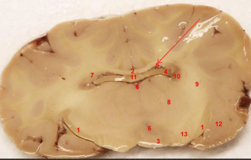 <p>what area is this </p>