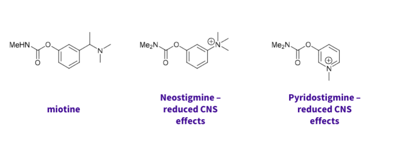 <p><span>charged nitrogen for enzyme binding</span><br><span>carbamate for enzyme inactivation</span><br><span>aromatic group for additional enzyme binding interactions</span></p>