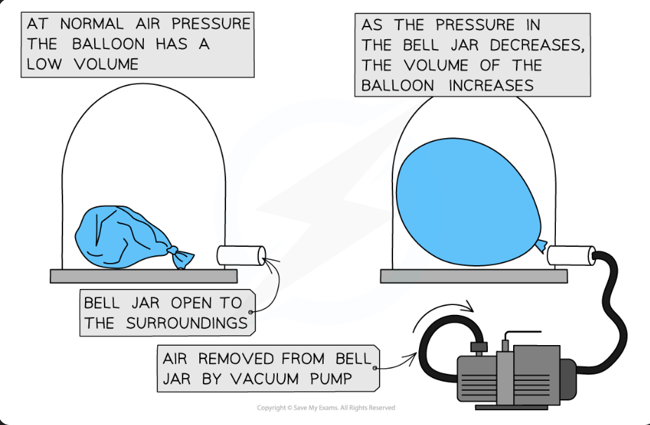 <p>If air is removed from bell jar vacuum, pressure decreases in bell jar  (since air is removed) and this increases the Balloon’s volume.</p><p>KEY: Less air = less pressure, No air = No pressure</p><p></p>